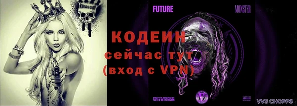 гидра Гусь-Хрустальный
