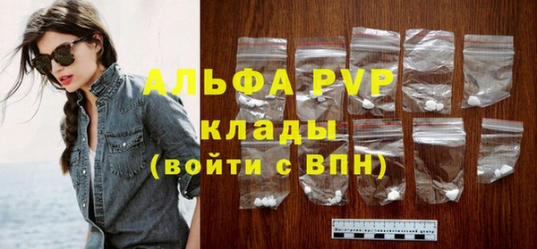 дмт Гусев