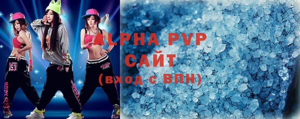 гидра Гусь-Хрустальный