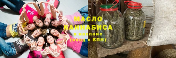дмт Гусев