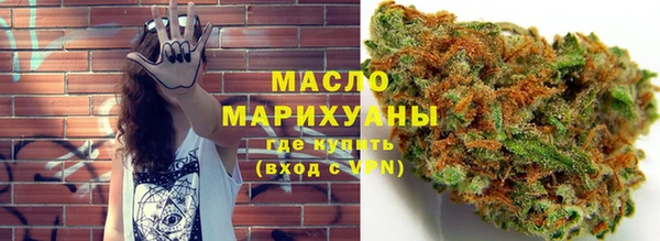 гидра Гусь-Хрустальный