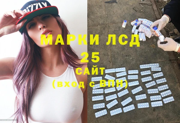 дмт Гусев
