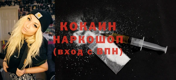 дмт Гусев