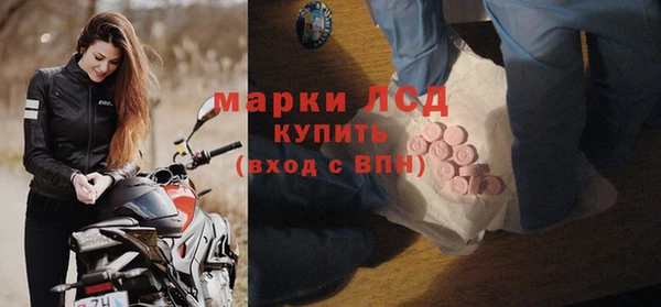 гидра Гусь-Хрустальный