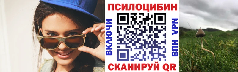 Псилоцибиновые грибы GOLDEN TEACHER  Купить  Калач 